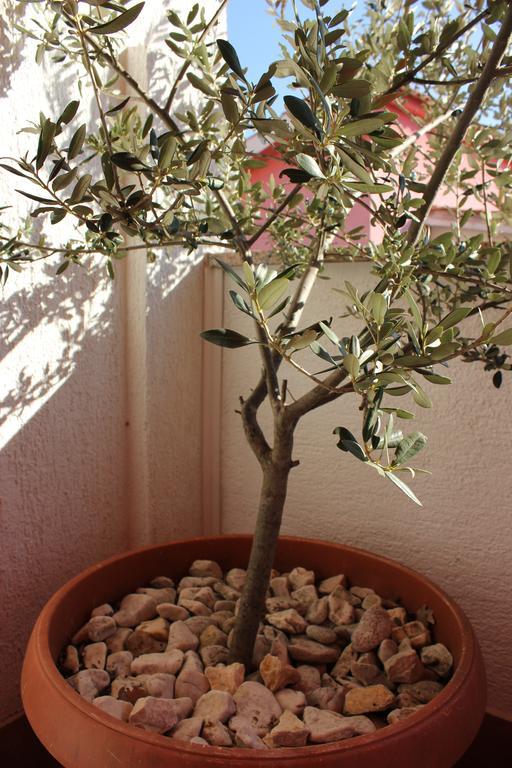 Apartman Luburic Pinezići Εξωτερικό φωτογραφία